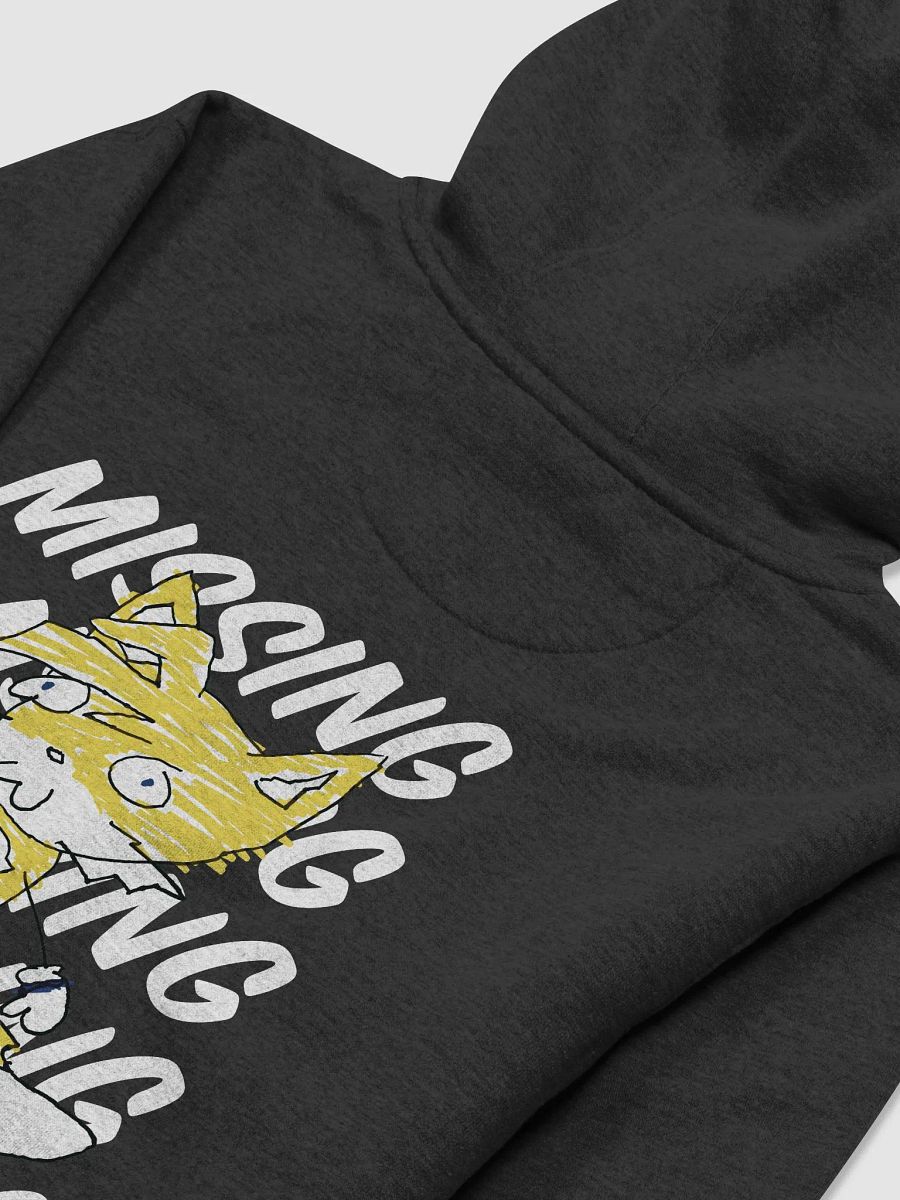 Missing Hoodie product image (5)
