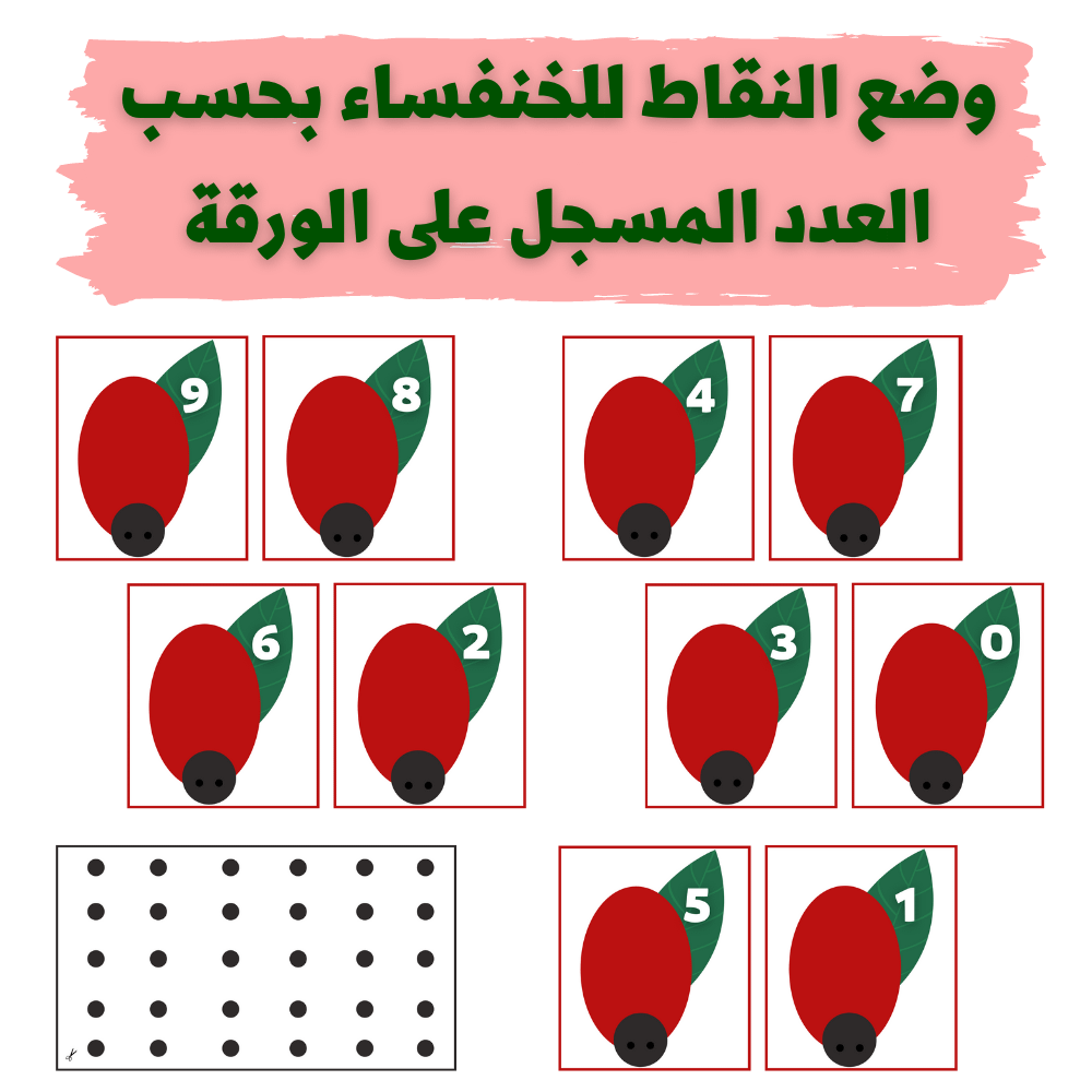 وضع النقاط للخنفساء بحسب العدد المسجل على الورقة - pdf product image (2)