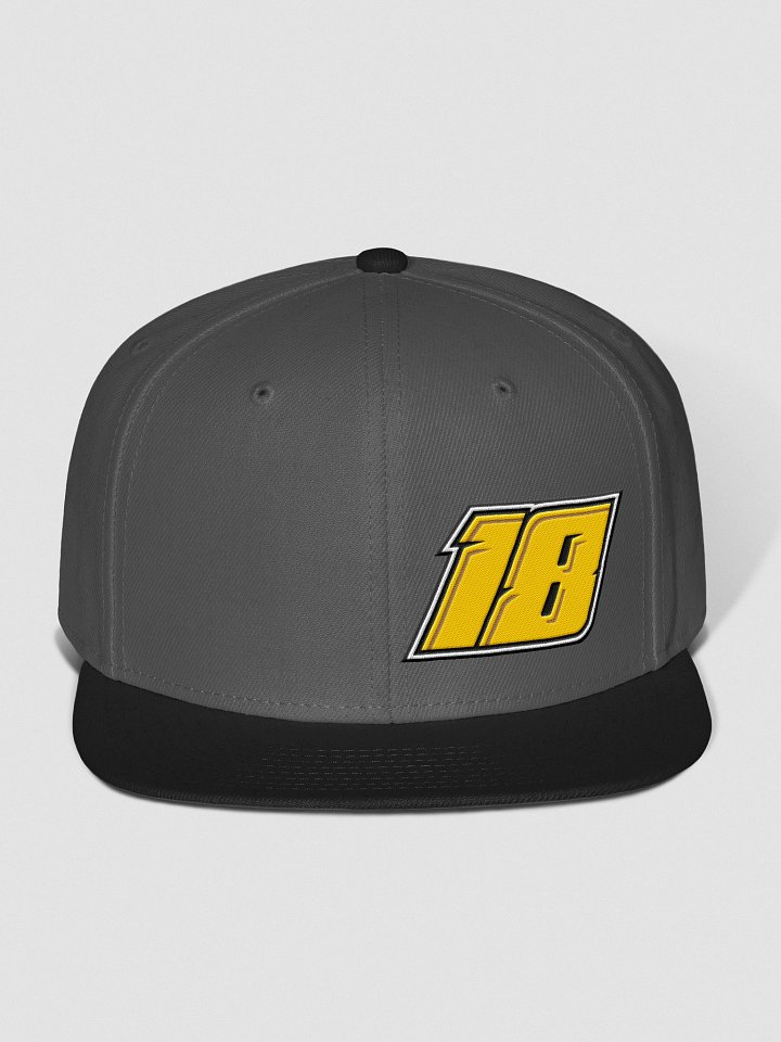 18 SnapBack Hat product image (1)