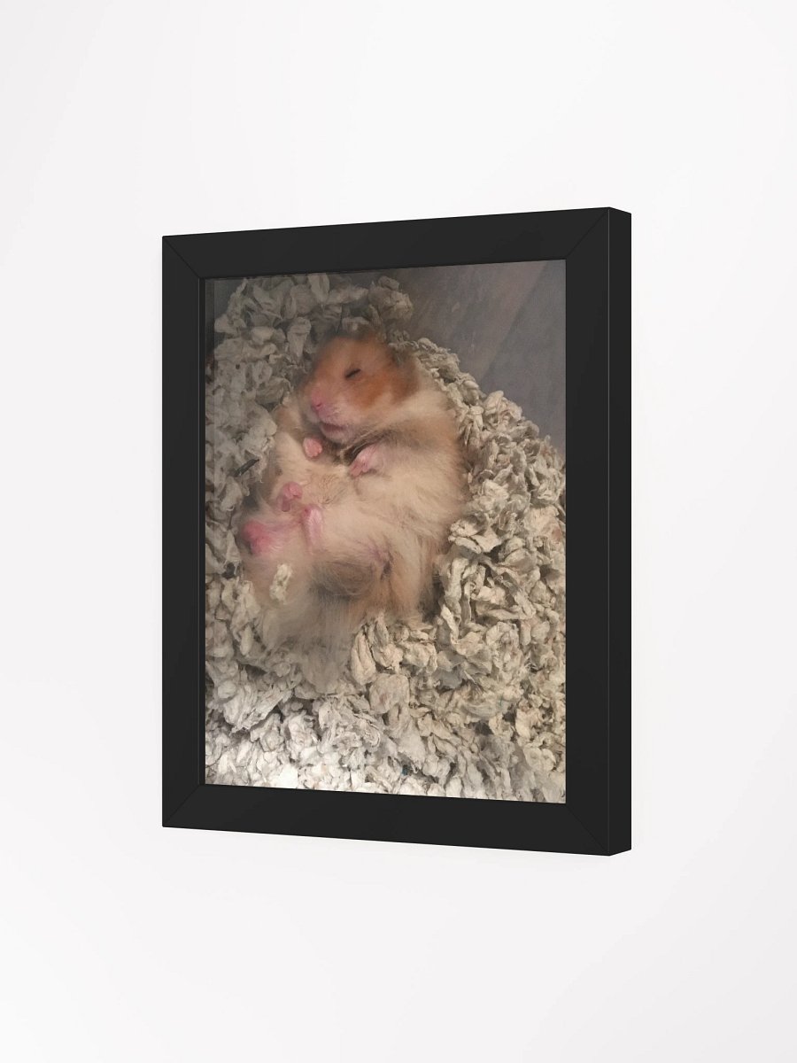Nugget sleeping product image (3)