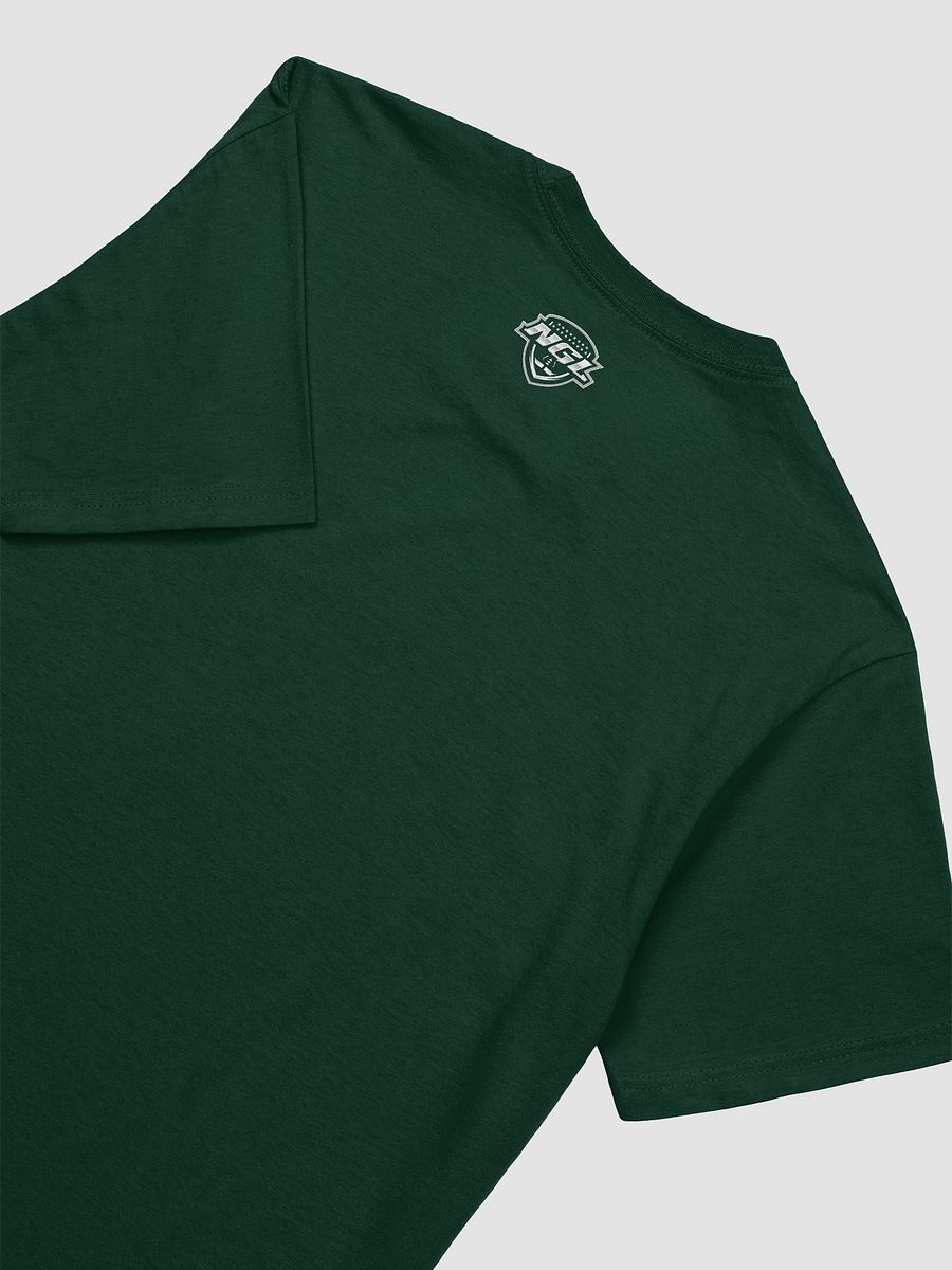 Mississippi Mudcats T-Shirt by Next Level 