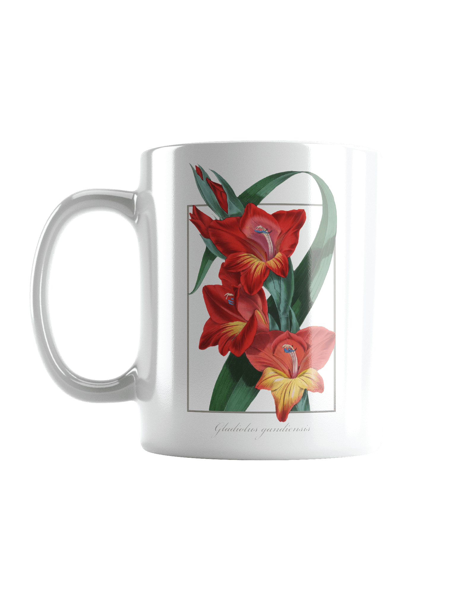 Gladiolus Gandiensis Ceramic Mug product image (1)
