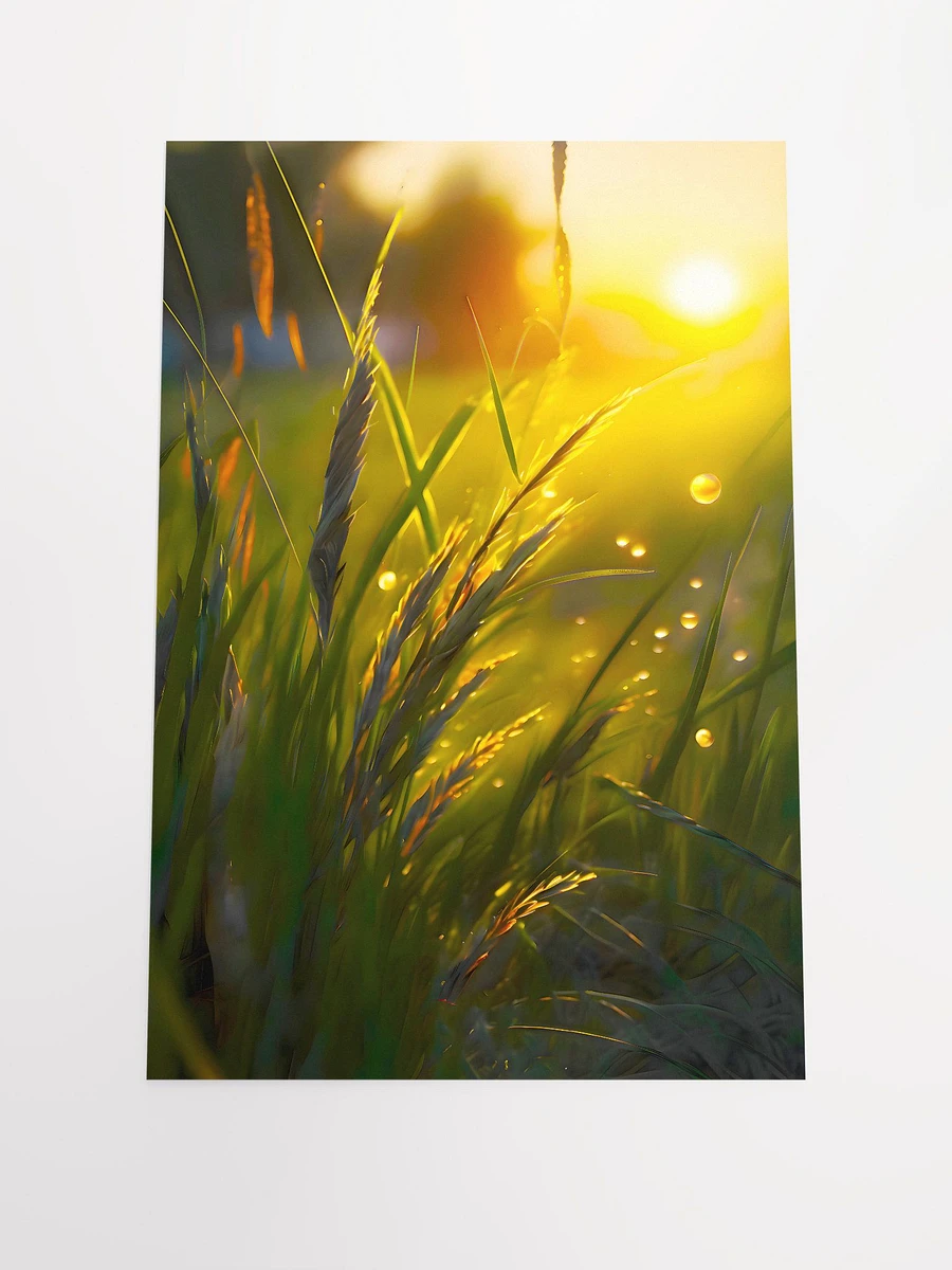 Golden Sunlight Shining Through Blades of Grass Matte Poster product image (3)