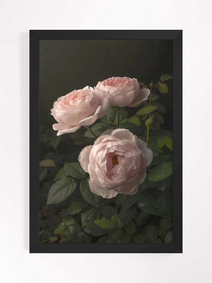 Trio of Roses product image (1)