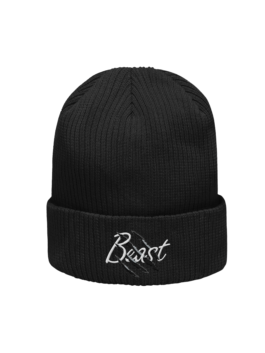 Beanie Beast's Clawed product image (1)