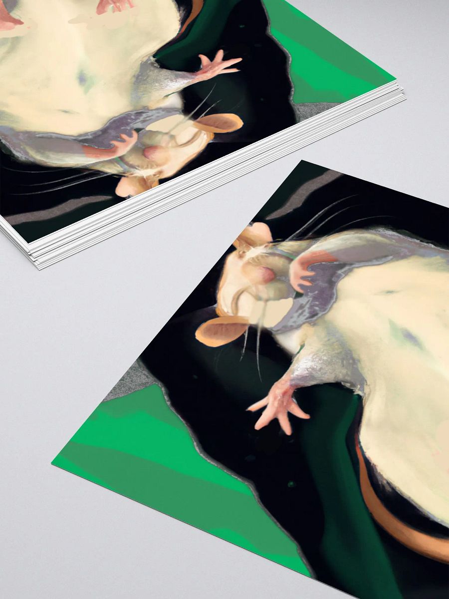 sleeping white rat sticker product image (11)