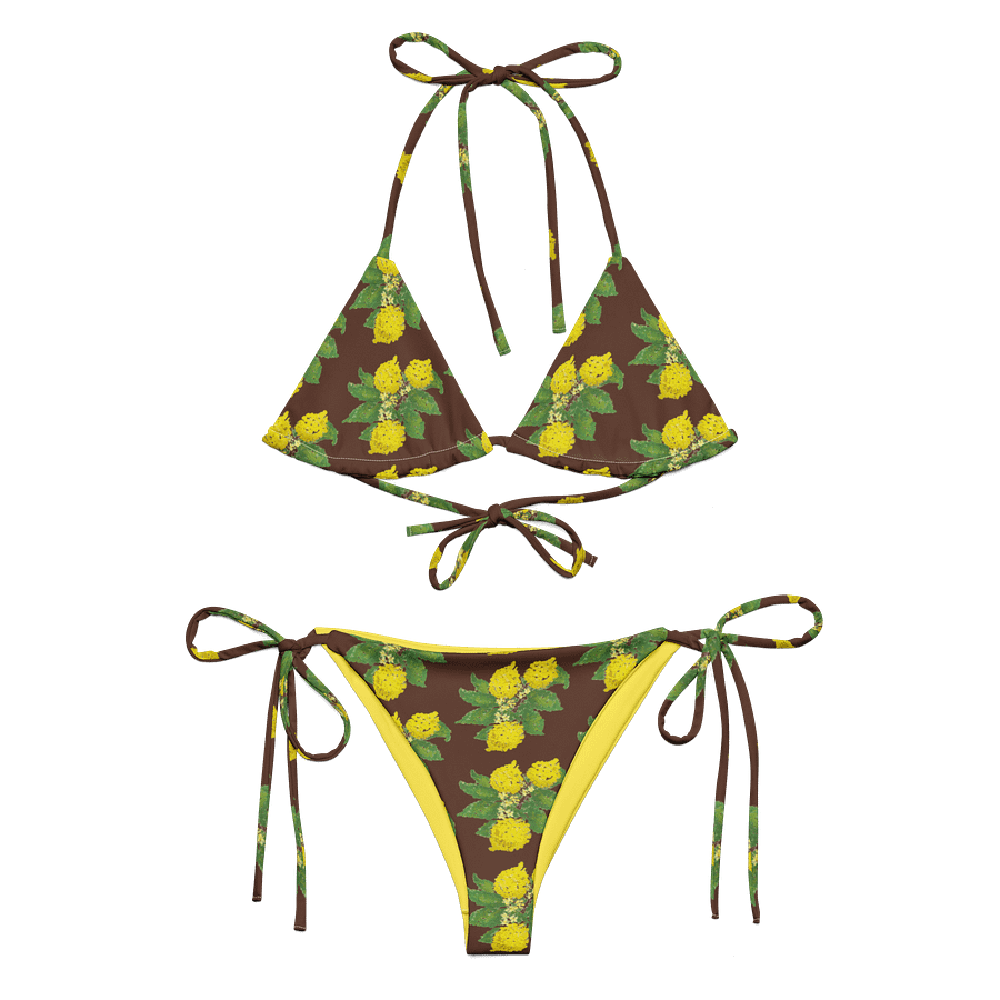 Lemon Love Brown Bikini Set product image (1)