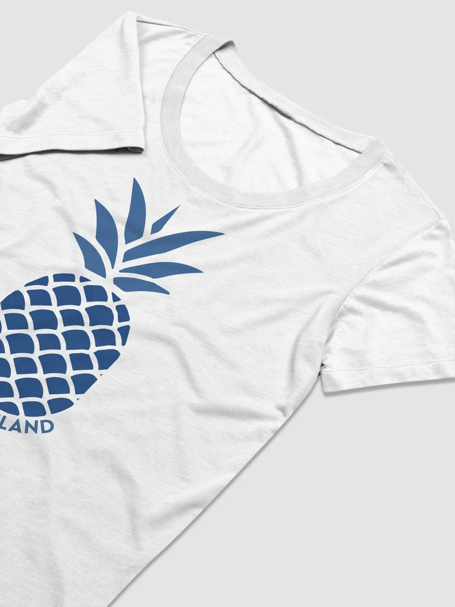 Ladies' Rhode Island Pineapple Triblend T-Shirt II product image (4)