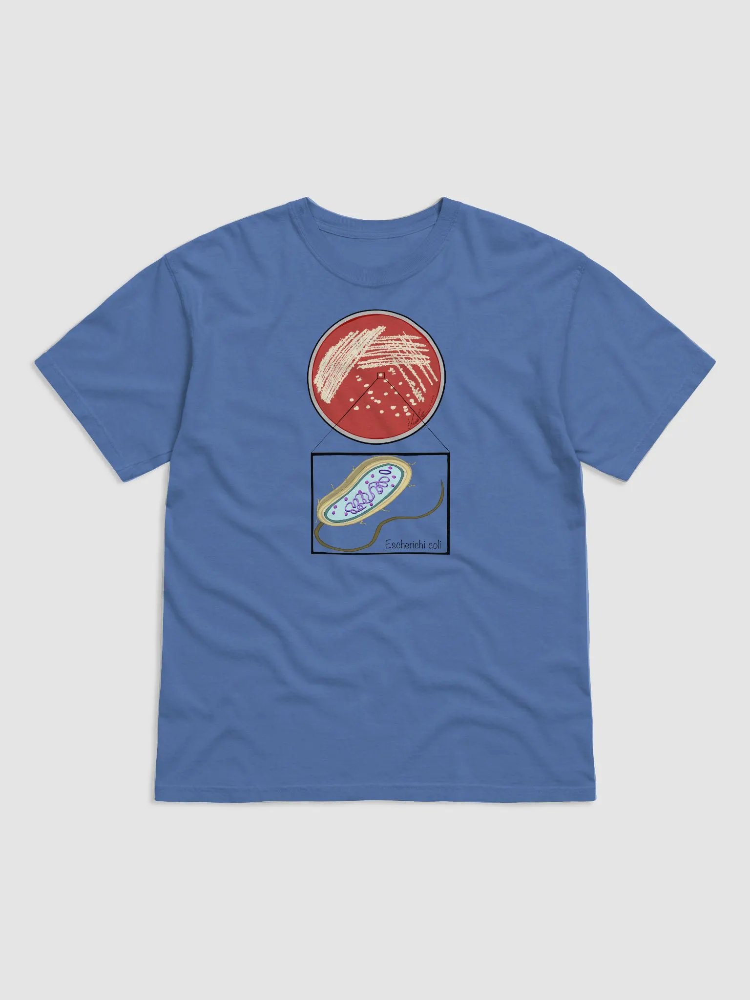 E. coli T-Shirt product image (5)