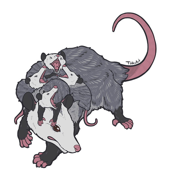 Opossum Mom - Sticker product image (1)