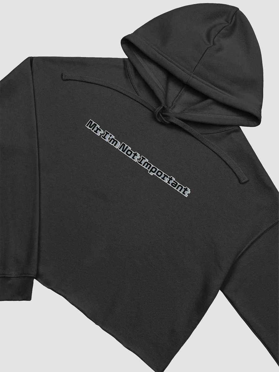 Fleece Crop Hoodie - Mr I'm Not Important product image (3)