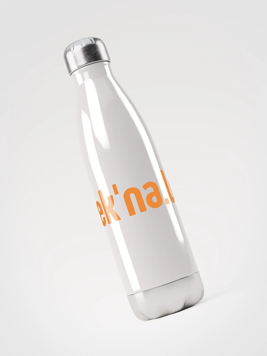 tek'na.le.gist water bottle product image (3)