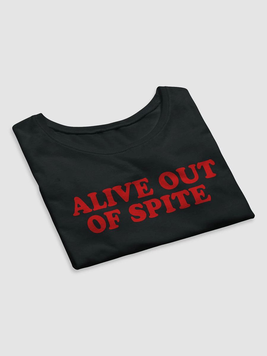 Spiteful Crop Top Baby Tee product image (3)