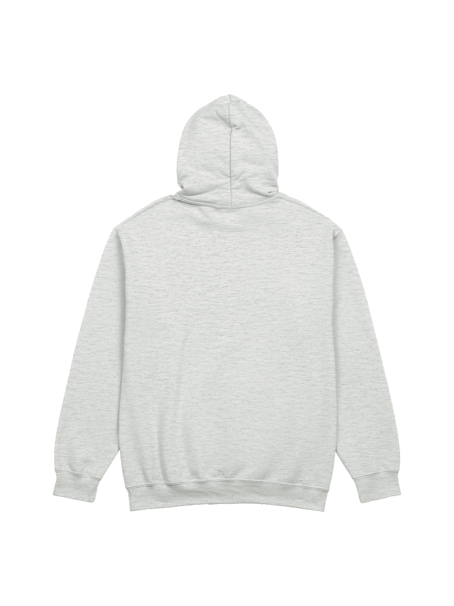 the model citizen graphic hoodie product image (2)