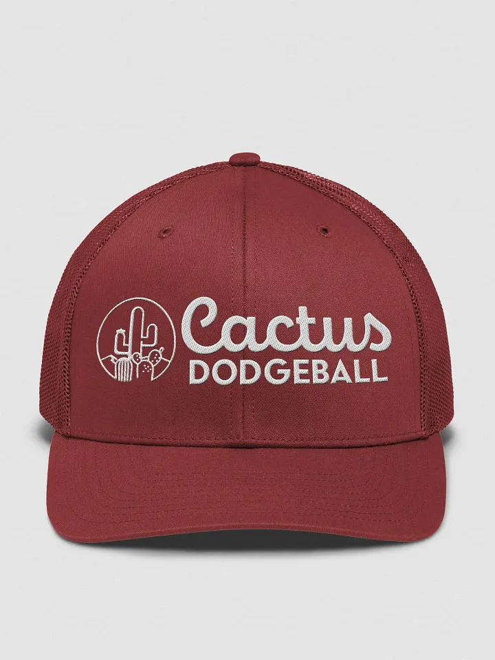 Cactus Dodgeball 