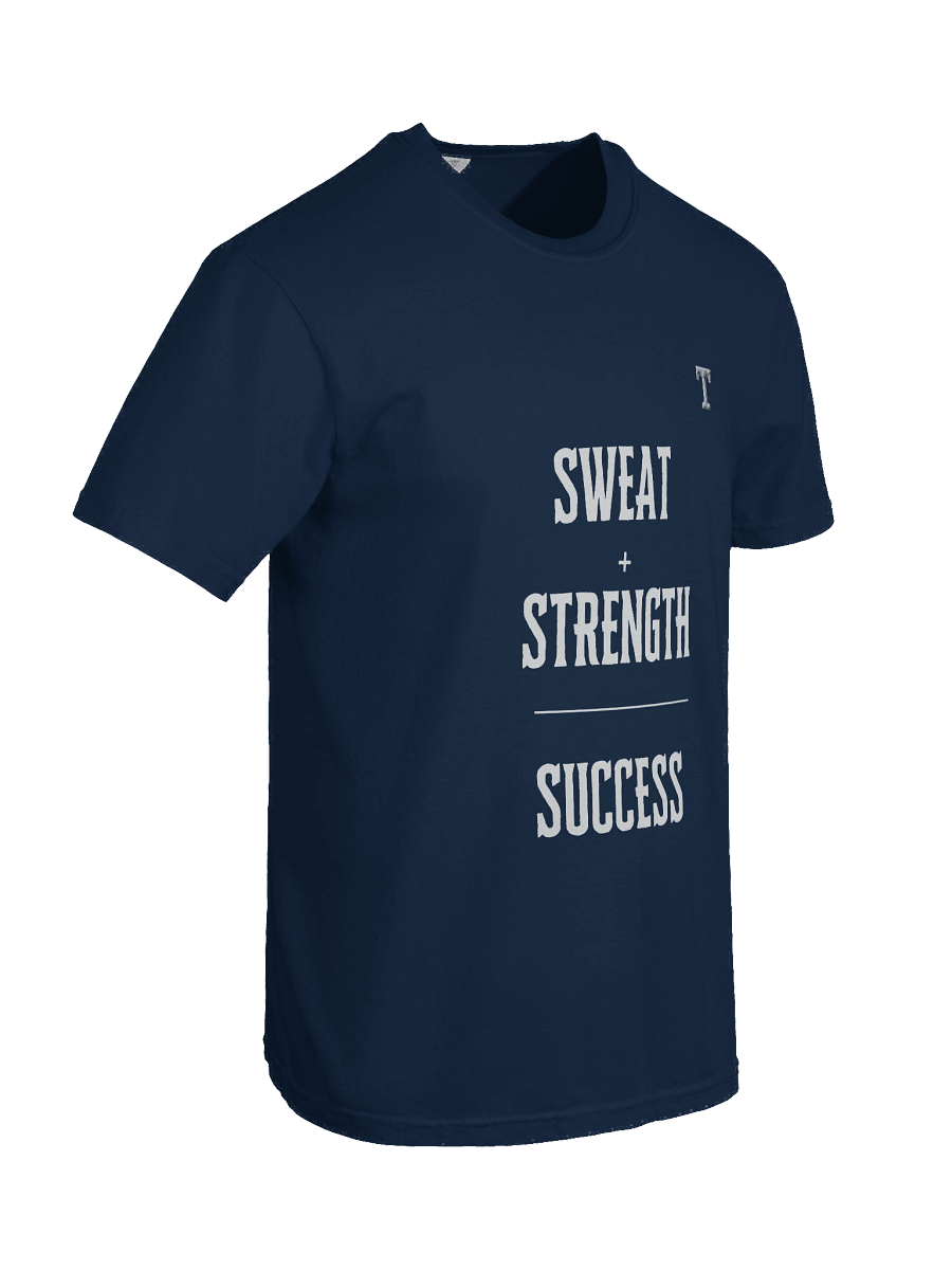 Sweat + Strength = Success T-Shirt product image (103)