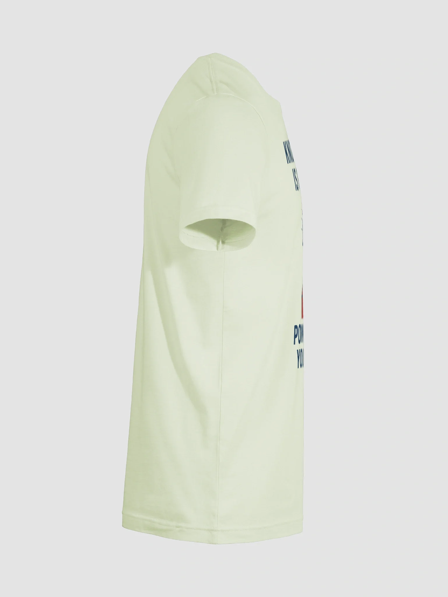 Knowledge is Power T-Shirt product image (48)