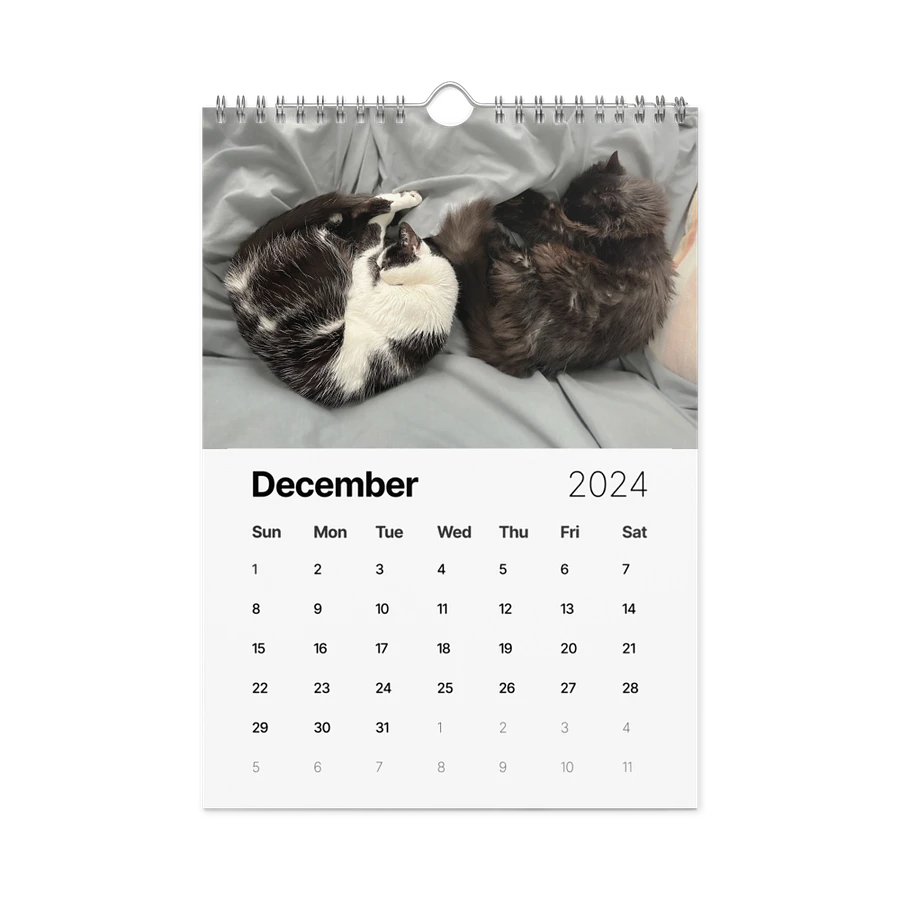 The 2024 ShoKo Cat Calendar product image (6)