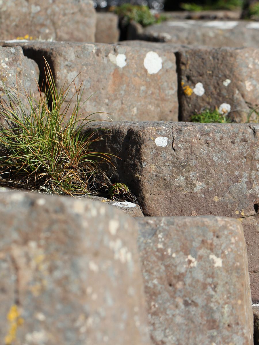 Landscape Image Collection product image (4)