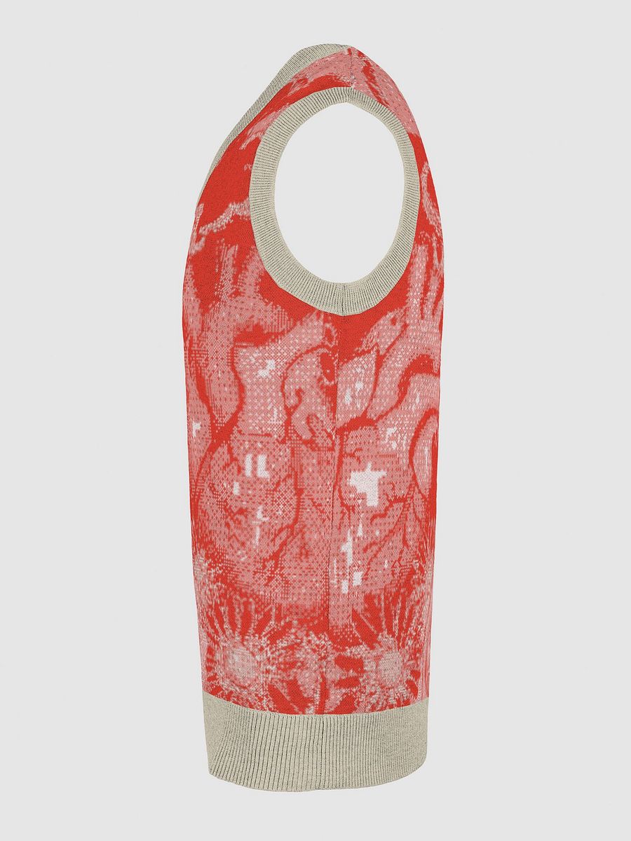 Floral Fantasy Knitted V-Neck Vest product image (28)