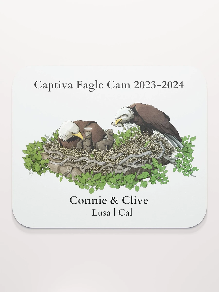 Captiva Eagle Cam 2023-2024 Mouse Pad product image (3)