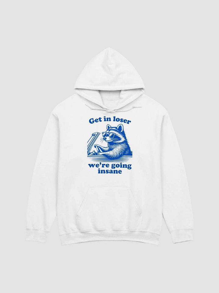 Get in loser we're going insane Hoodie product image (1)