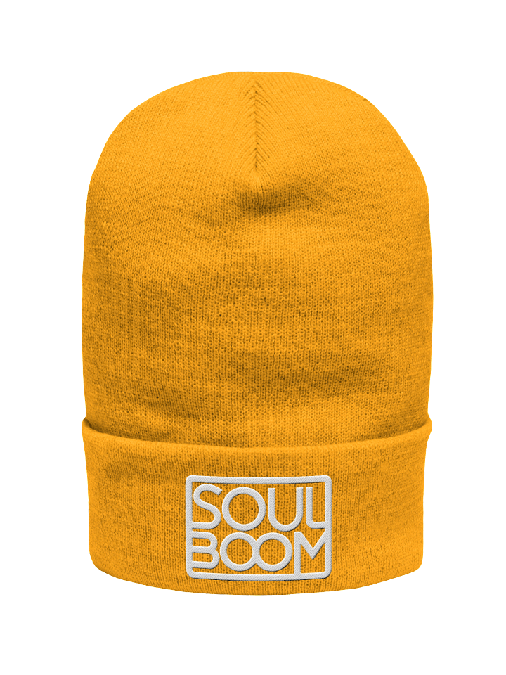 Logo Cuffed Beanie product image (2)