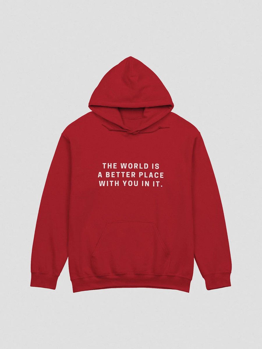 A BETTER PLACE HOODIE - (UNISEX) product image (5)