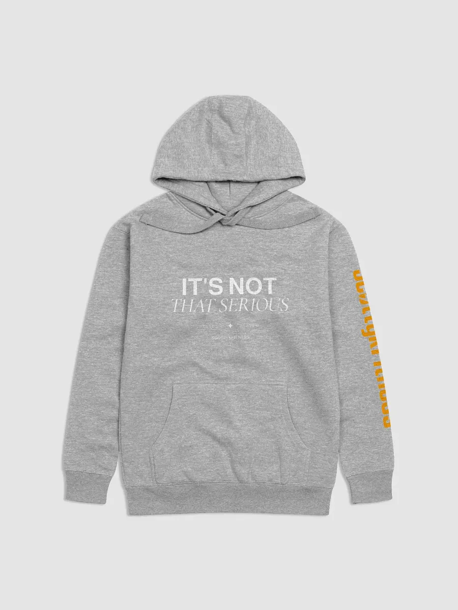 It's Not That Serious Hoodie product image (5)