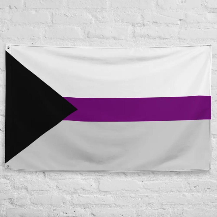 Demisexual Flag product image (10)
