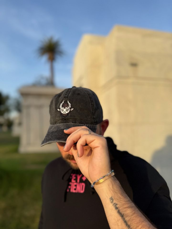 Logo Hat product image (2)
