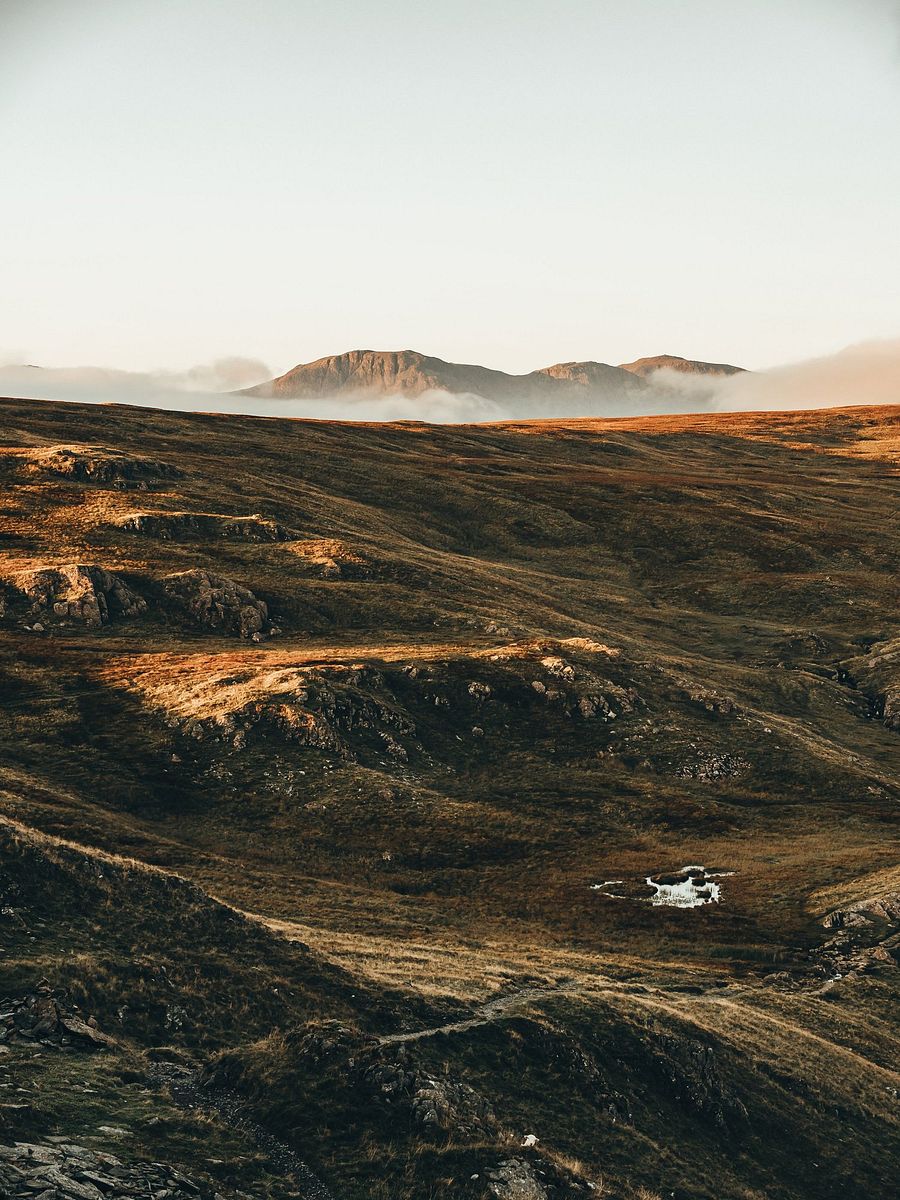 Chasing Adventure Pack - 15 Presets product image (5)