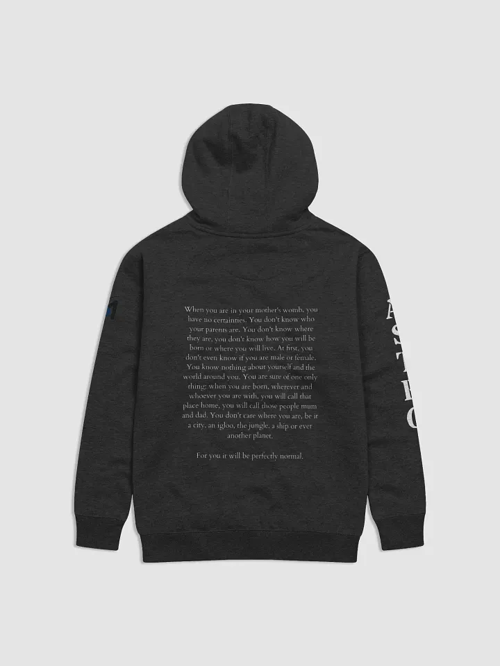 AD MARTEM 12 Born on Mars Hoodie product image (2)