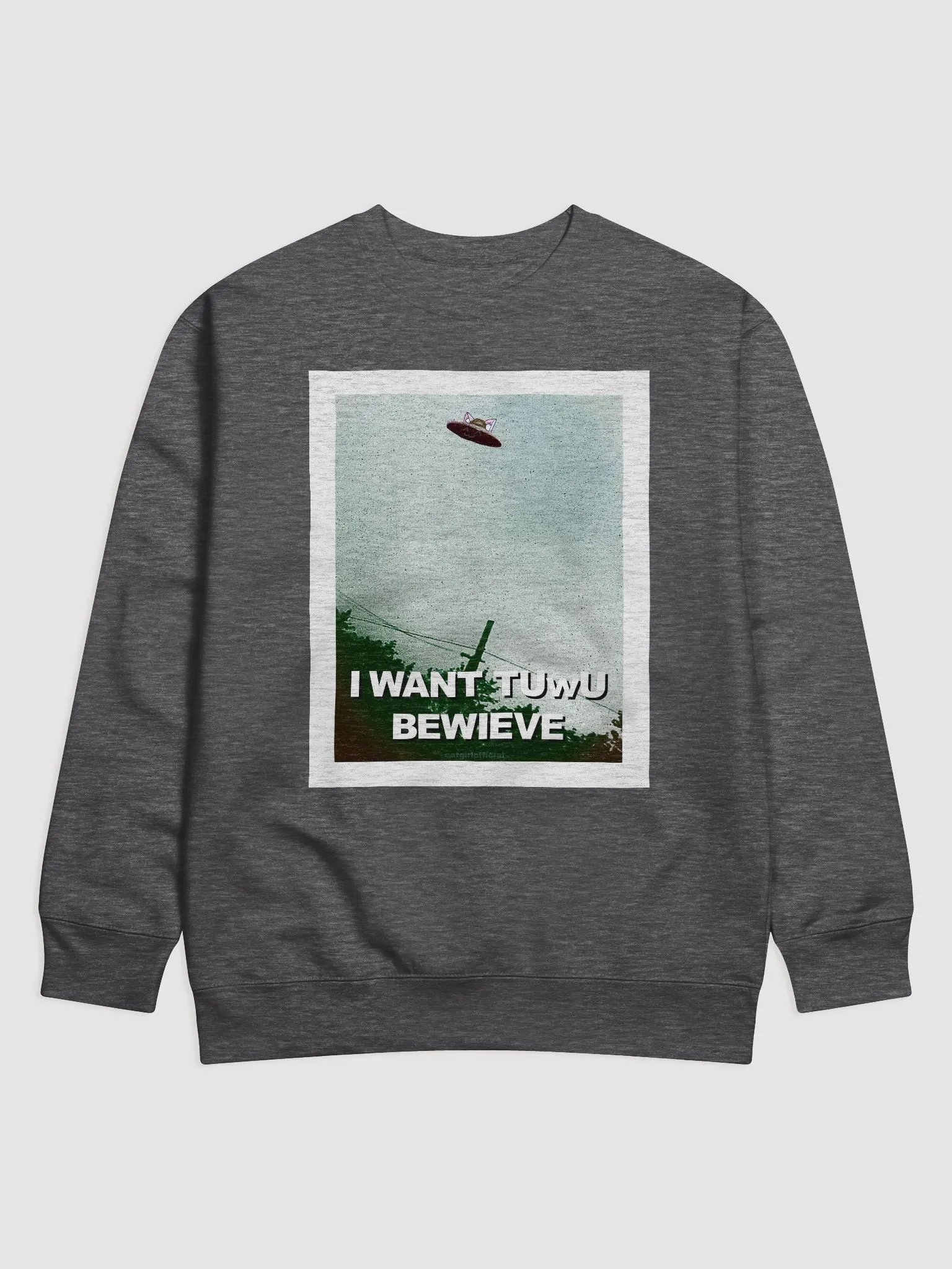 I Want tUwU Bewieve 👽 Premium Sweatshirt product image (1)