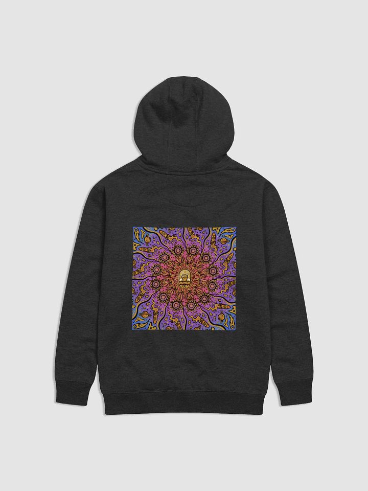PTS Hoodie product image (2)