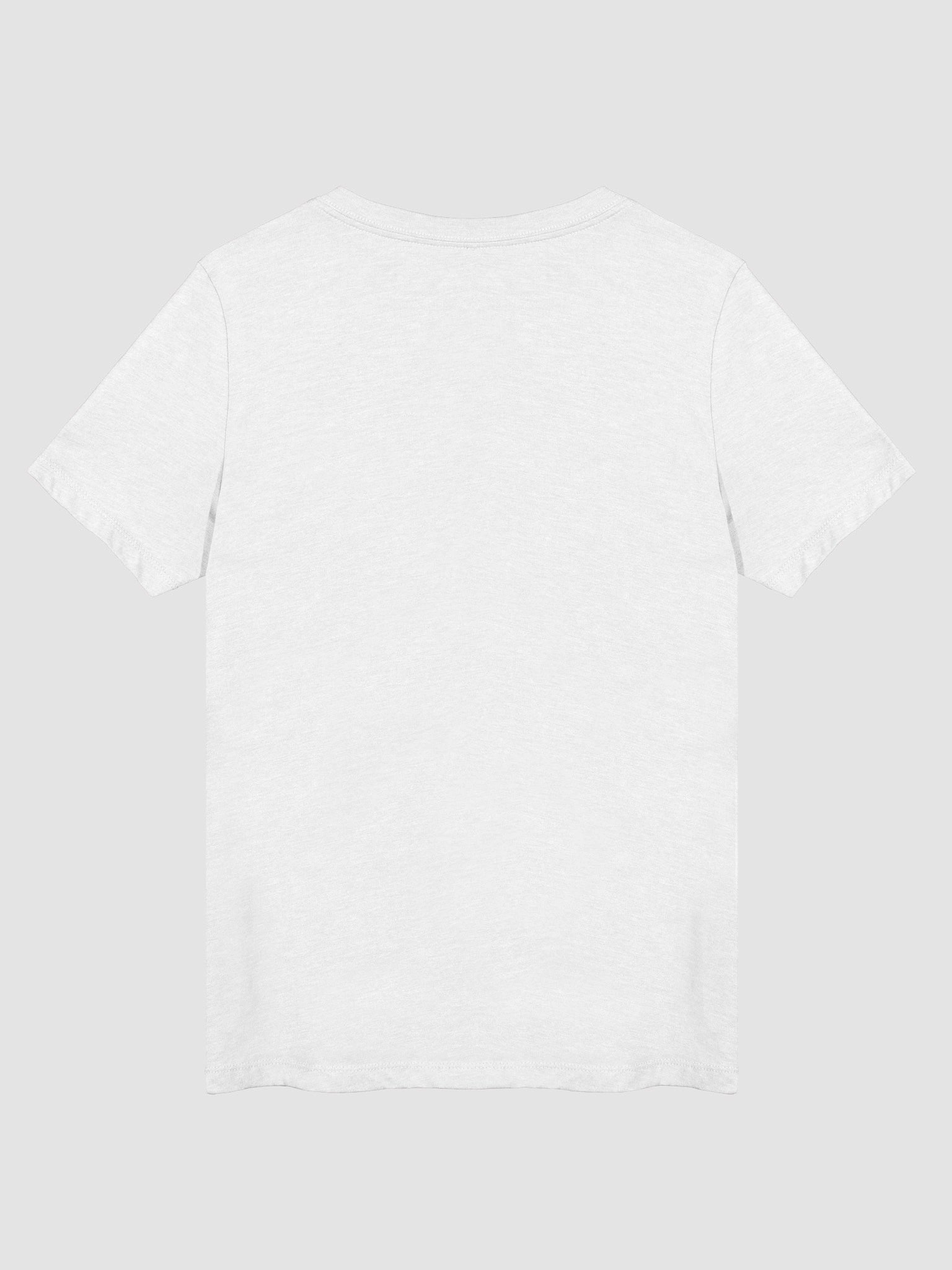 Singer From Kazakhstan Bella Canvas Unisex V-Neck product image (3)