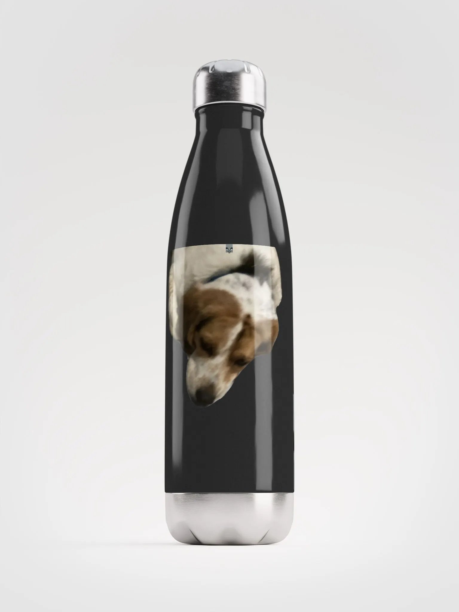 Stainless Water Bottle product image (1)