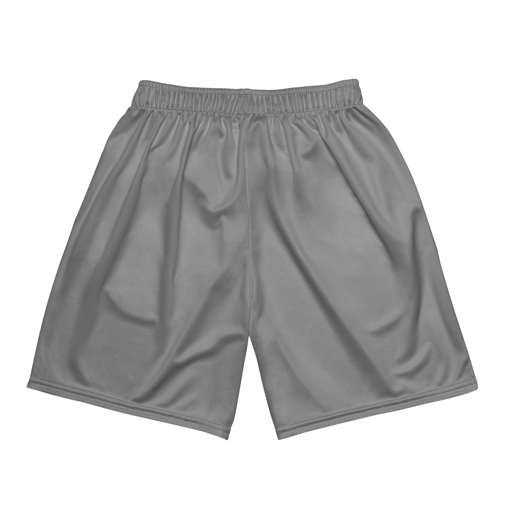 ENS Athletic Dept. Mesh Shorts product image (5)