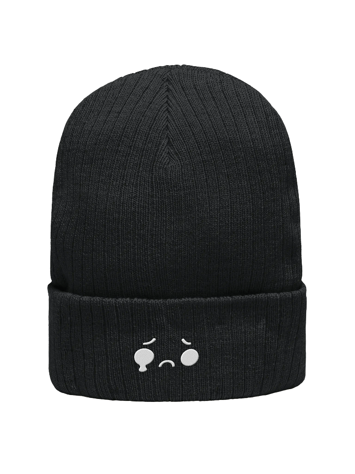 Temporary Beanie product image (2)