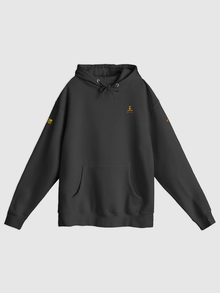 O RAION - PREMIUM COMFORT UNISEX HOODIE YPKDS product image (1)