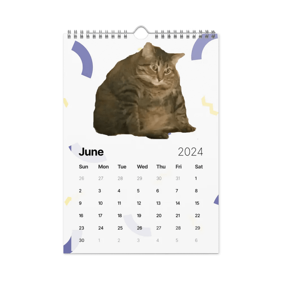 Wall Calendar (2024): Meme Cats product image (12)