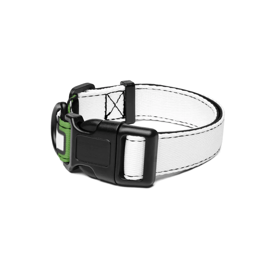AOFA Pet collar product image (1)