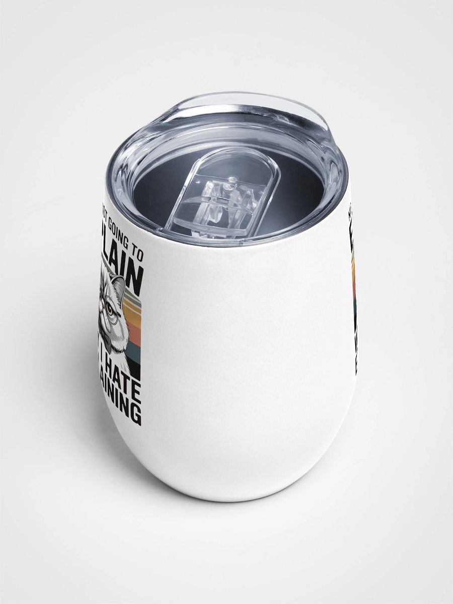 I Hate Explaining Human Design Manifestor Tumbler product image (4)