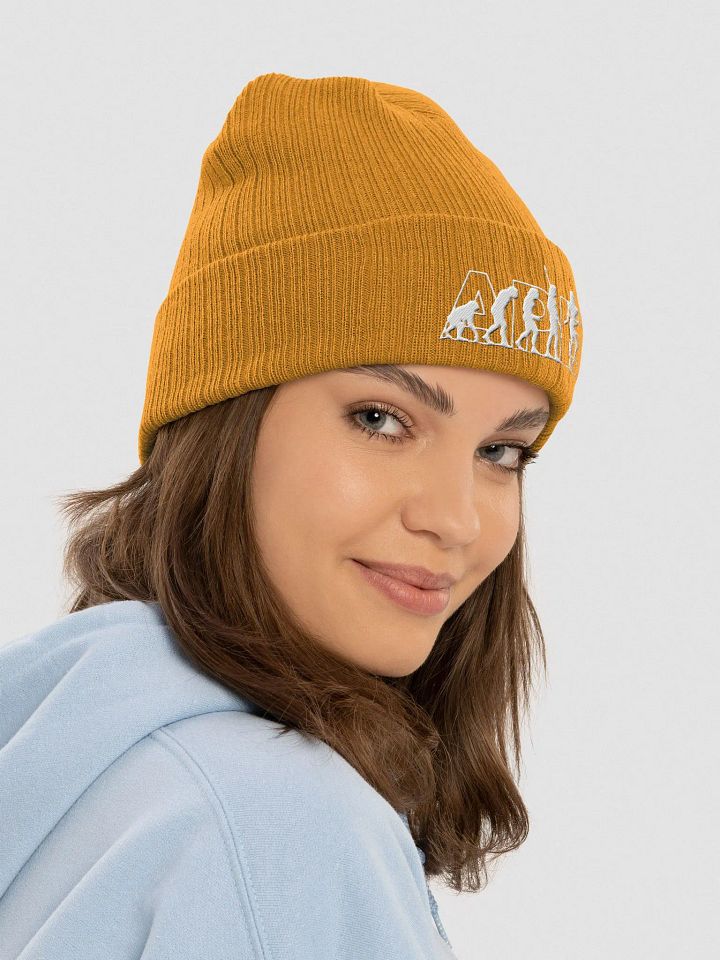 APEvolution Ribbed Beanie [Women's] product image (2)
