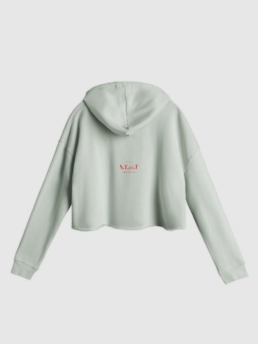 $.T.@.T - C@$H@PP M3 Crop Hoodie product image (8)