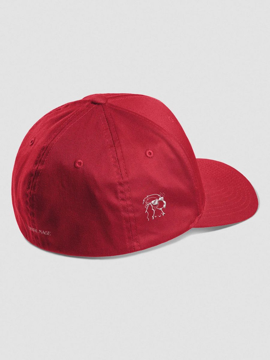 Non-Political Hat product image (3)