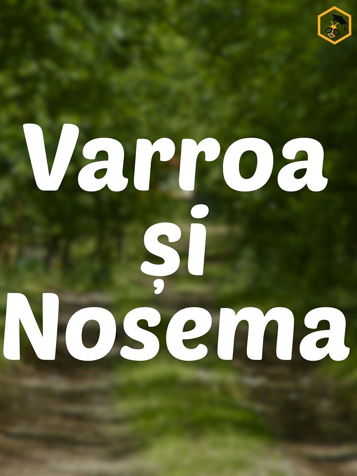 Varroa și Nosema product image (1)