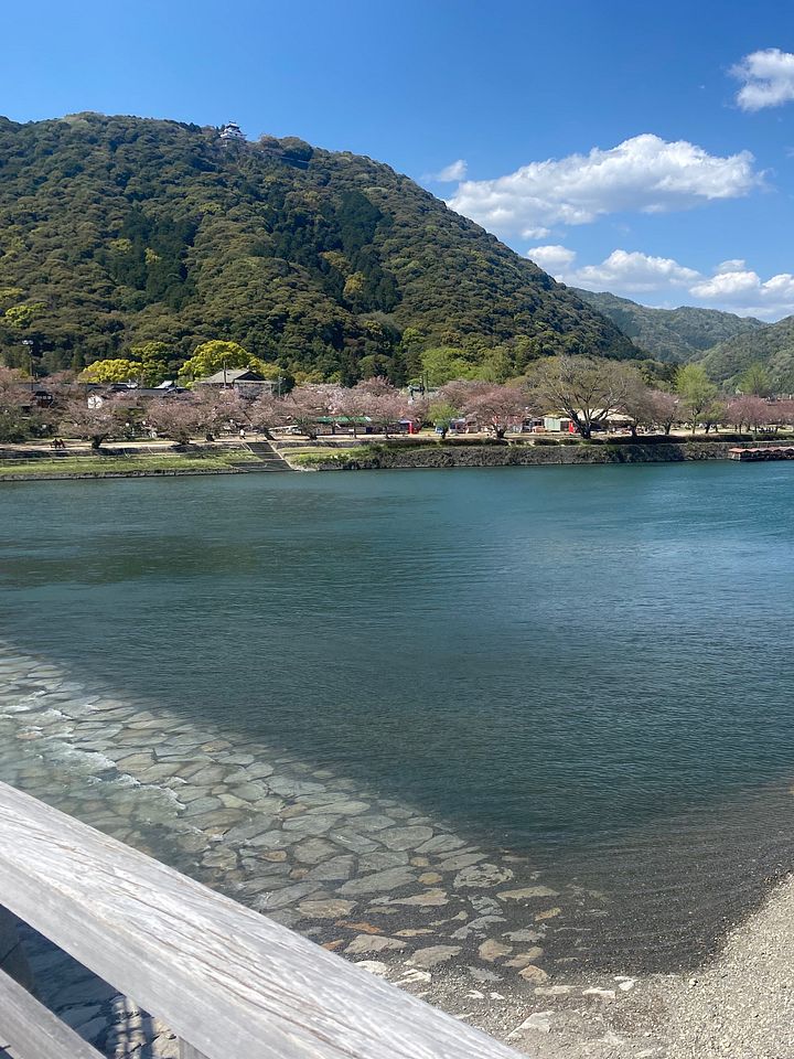 Iwakuni bridge product image (1)
