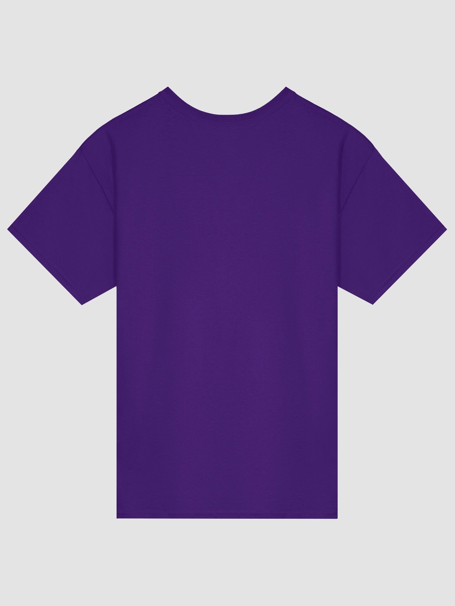 Fruitful Vibes Vegan T-Shirt product image (2)
