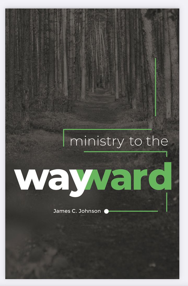 Ministry to the Wayward product image (1)